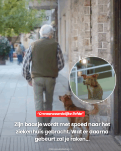 Wat er daarna gebeurt zal je raken.