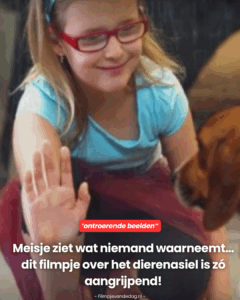 Dit filmpje over het dierenasiel is zó aangrijpend!
