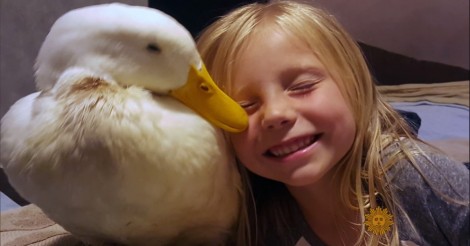 Dit 5-jarige meisje heeft een heel speciale band met een… eend!