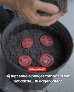 Dit is perfect!