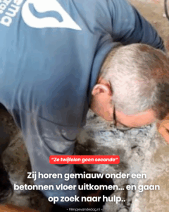 Ze twijfelen geen seconde