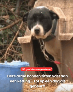 Totdat dit gebeurt!
