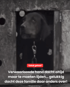 Gelukkig dacht deze familie daar anders over!