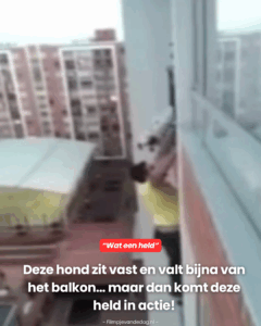 Maar dan komt deze held in actie!