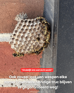 Dit ga ik vandaag nog proberen!
