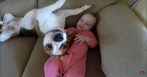 Deze beagle en baby zijn onafscheidelijk… Wacht tot je ziet wat hij allemaal doet voor haar!
