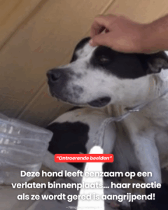 Haar reactie als ze wordt gered is aangrijpend!