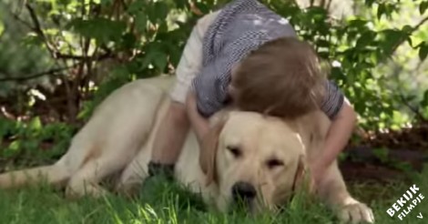 Zij weten niet hoe hun hond gaat reageren op de geboorte van hun zoontje.. maar wat dan ontstaat is prachtig!