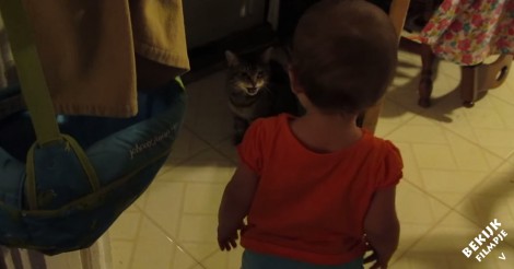 Dit baby’tje en katje hebben een super lief ochtendritueel… elke dag weer!