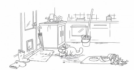 Hij maakt filmpjes van zijn kat… maar kom erachter waarom zijn filmpjes zo bijzonder zijn!