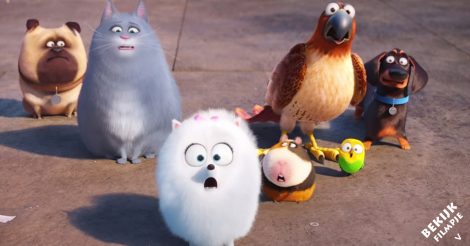 Wat spoken huisdieren allemaal uit als hun baasje van huis is? je ziet het in ‘huisdiergeheimen’