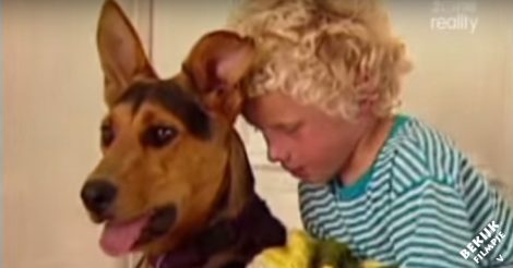 Hond glipt dagelijks door het hek om zijn gehandicapte buurjongen te bezoeken. Dit is hartverwarmend!