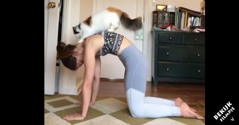 Zij begint met haar gebruikelijke yoga sessie.. maar kijk eens wie plotseling meedoet!