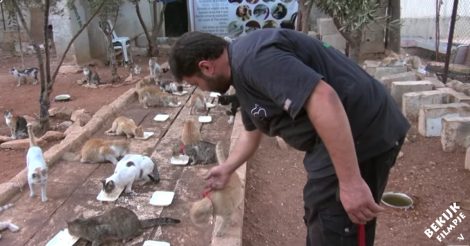 Iedereen ontvlucht de oorlog in syrië, behalve deze man. De reden daarvoor is hartverwarmend!
