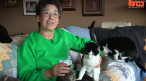 Kattenliefde zoals je nog nooit eerder zag. Deze vrouw woont samen met 1100 katten!