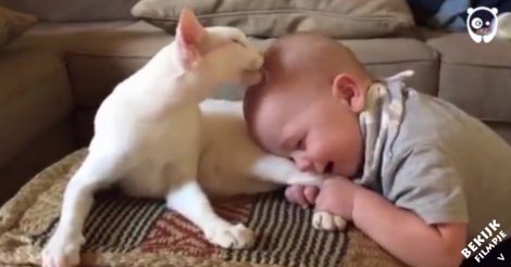 Zij vragen zich af hoe hun kat gaat reageren op hun zoontje. Dan doet het beestje iets hartverwarmends!
