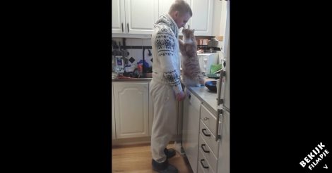 Overal waar hij gaat, volgt zijn kat hem. Deze kat wil niets anders dan knuffelen met zijn baasje!