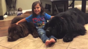 Zij zijn gek op hun drie kleine kinderen, maar ook op hun twee gigantische honden! wauw!