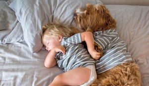 Klein jongetje wordt geadopteerd. Het moment dat hij de familie hond ontmoet is hartverwarmend!
