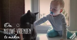 Goede voornemens voor 2017? Wees beter voor elkaar én voor dieren!