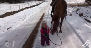 De leukste vrienden die er zijn: een hele kleine peuter en een heel groot paard!