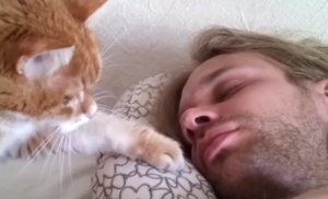 Verschillende schattige huisdieren maken hun baasje wakker. Dit is zó grappig!