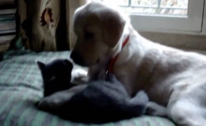 Zij zijn allebei 4 maanden oud. Ze verschillen alleen nét iets van elkaar!