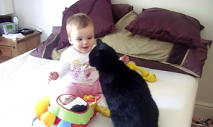 Baby ligt op bed met een lieve kat. Hoe de twee op elkaar reageren is zó schattig!