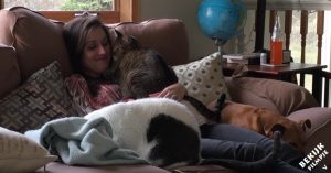 Stel is in verwachting. Hoe de katten dat weten aan te voelen is schitterend om te zien!