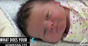 Bijzonder: de wereld door de ogen van een pasgeboren baby!