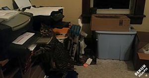 Plots komt er papier uit de printer. Deze gefascineerde kat kijkt met grote ogen toe en komt dan dichterbij..