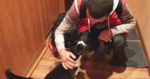 Hij filmt het afscheid van zijn kat én het weerzien na 20 dagen!