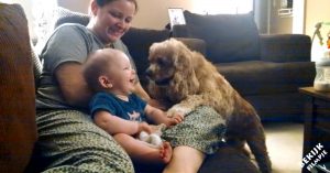 Baby zit op bank. Zijn reactie op de spelende hond is vertederend!