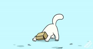 Katten en hun obsessie voor dozen, maar dan in een cartoonversie!