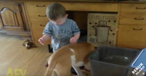 Jochie wil hond voeren. Hij had alleen de waterbak achter hem niet gezien..