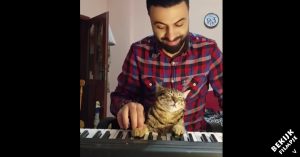 Leukste muzikale duo ooit: pianist en kat!