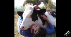 Mens en dier: wat kan het toch prachtig zijn!