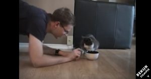 Baasje haalt voerbak bij kat weg. Wat het beestje dan doet is hilarisch!