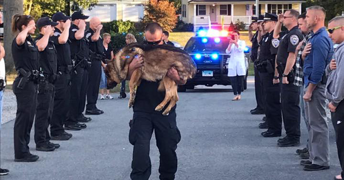 police dog Hunter K-9 funeral https://www.facebook.com/529669817126079/photos/a.876181015808289.1073741842.529669817126079/1452057098220675/?type=3&theater Credit: Middleton Police Department