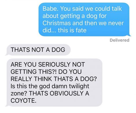 coyote-5
