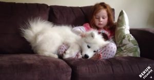 Meisje zit op de bank met haar puppy. En dat levert natuurlijk een hoop ‘knuffelgeweld’ op!