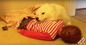 Meisje ligt op de grond. Maar deze puppy wil liever knuffelen!