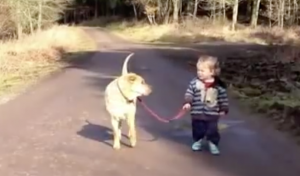 Meisje legt hondenriem op de grond. Wat de hond dan doet is super lief!