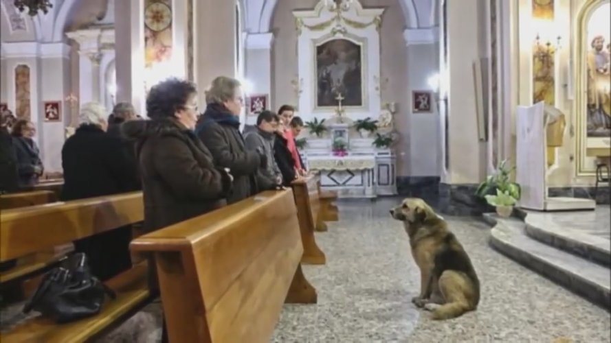 hond-kerk