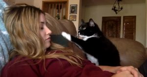 Meisje zit met de kat op de bank. Dan vraagt het beestje héél beleefd om geaaid te worden