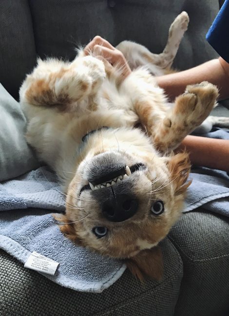 teddy3