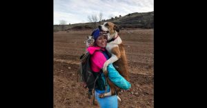 Deze hond en kat werden geadopteerd. Dan gaan ze samen op reis!