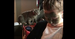 Vrouw heeft moddermasker op. Dan herkent zelfs haar eigen kat haar niet..