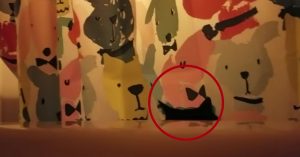 Kat vindt het maar irritant als z’n baasje zingt. Dan sluipt het beestje dichterbij..