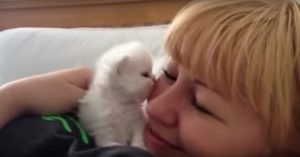 Kitten kruipt tegen het hoofd aan van deze vrouw. Wat dan volgt is zo lief!